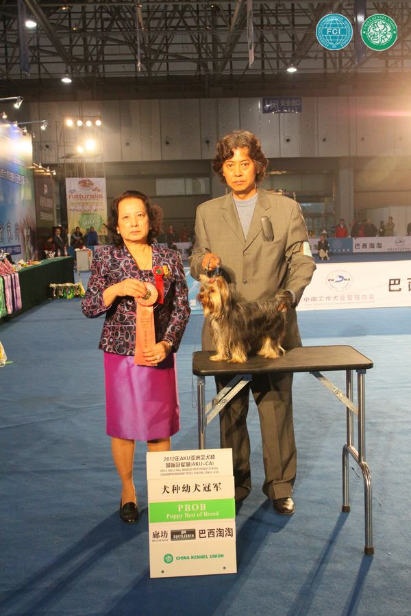 图片点击可在新窗口打开查看