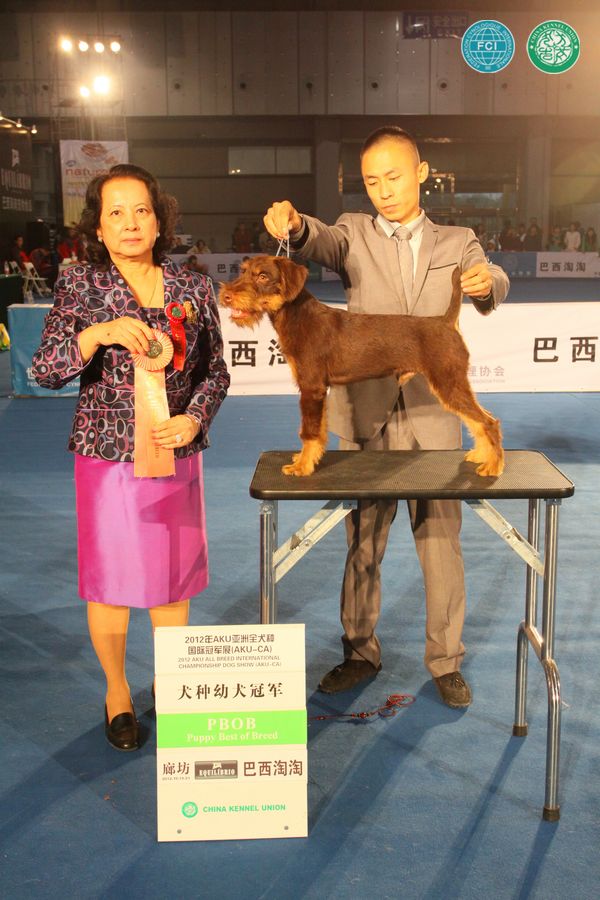 图片点击可在新窗口打开查看