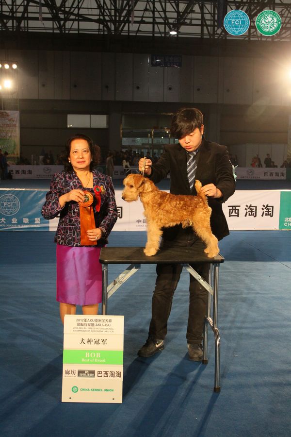 图片点击可在新窗口打开查看