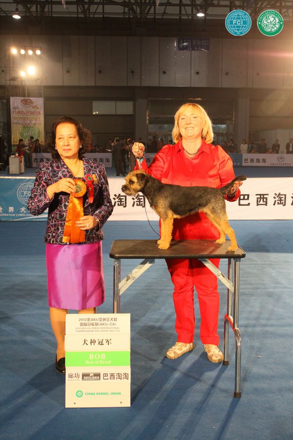 图片点击可在新窗口打开查看