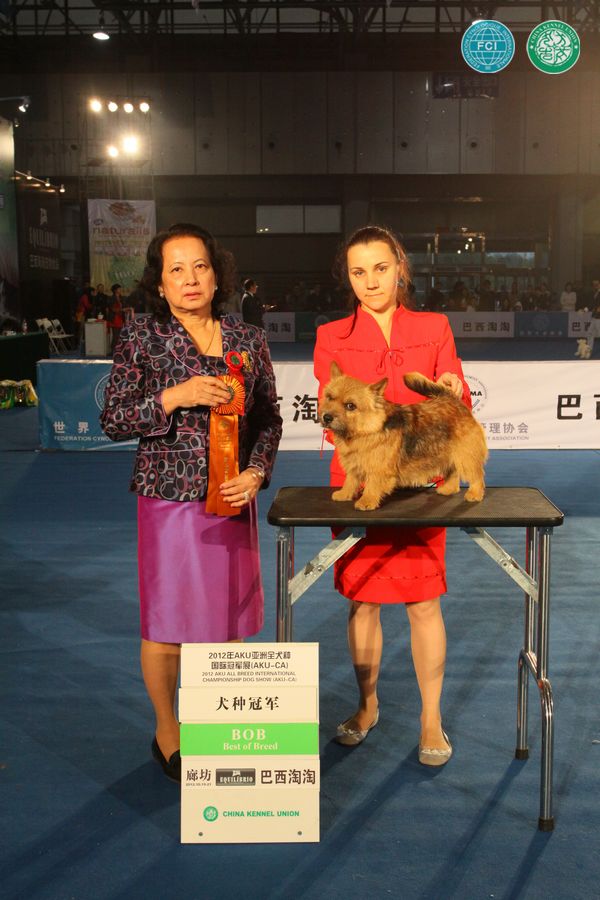 图片点击可在新窗口打开查看