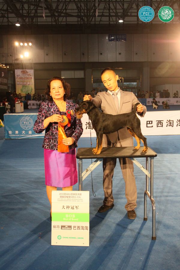 图片点击可在新窗口打开查看