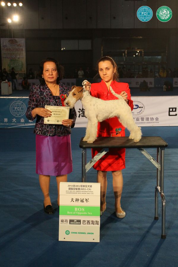 图片点击可在新窗口打开查看