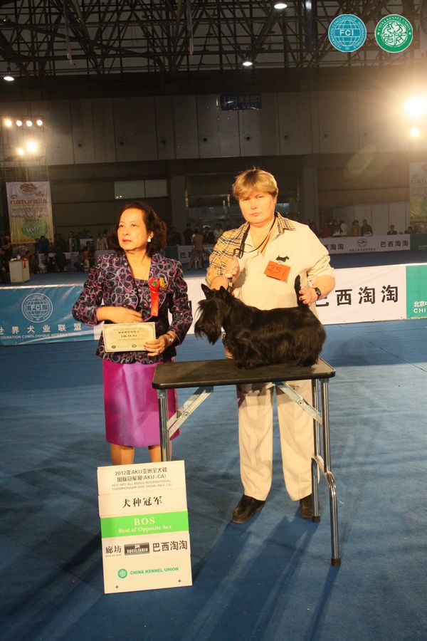 图片点击可在新窗口打开查看