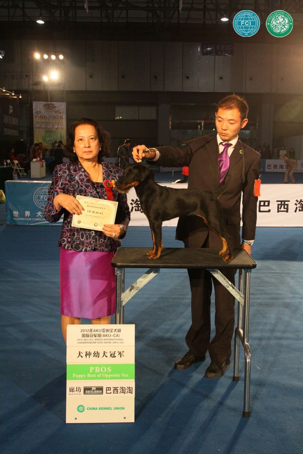 图片点击可在新窗口打开查看