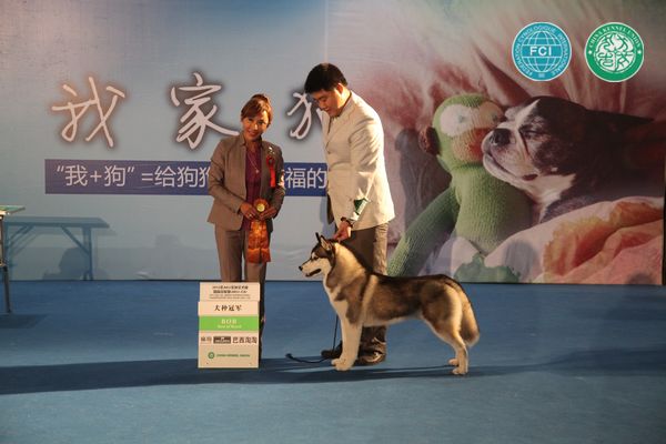 图片点击可在新窗口打开查看