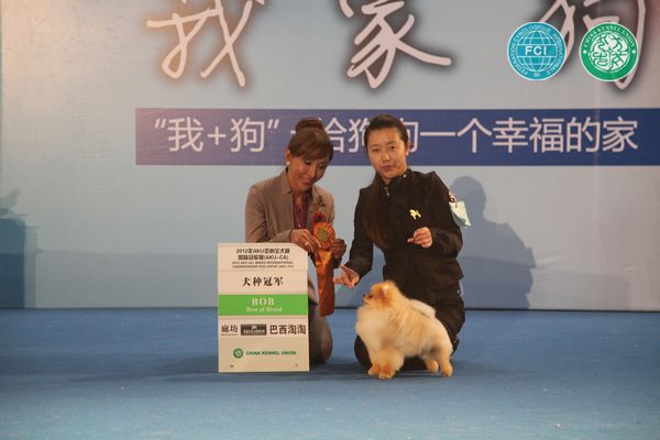 图片点击可在新窗口打开查看