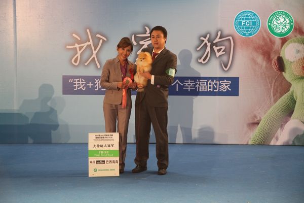 图片点击可在新窗口打开查看