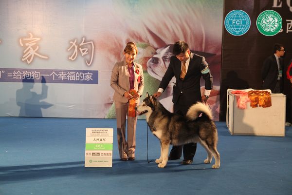 图片点击可在新窗口打开查看