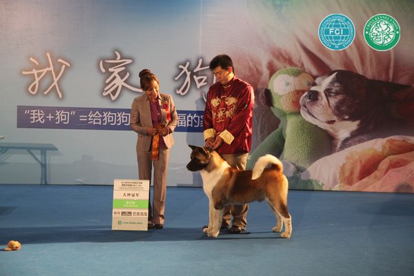 图片点击可在新窗口打开查看