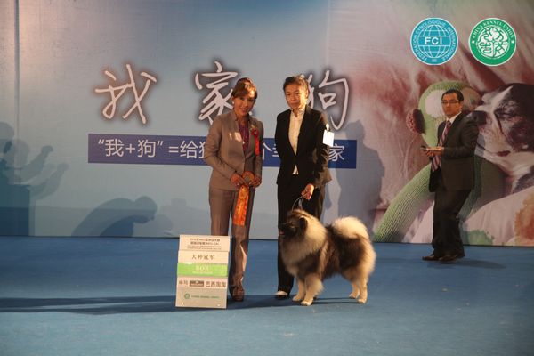 图片点击可在新窗口打开查看