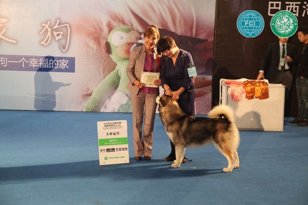 图片点击可在新窗口打开查看