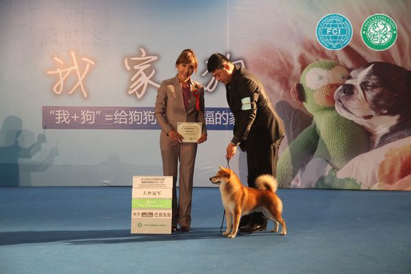 图片点击可在新窗口打开查看