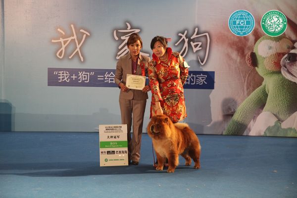 图片点击可在新窗口打开查看