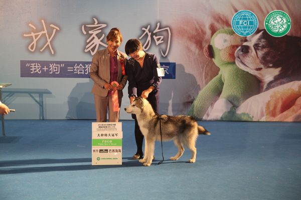 图片点击可在新窗口打开查看