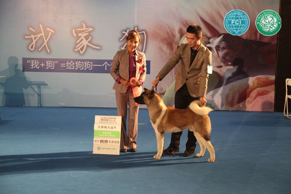 图片点击可在新窗口打开查看