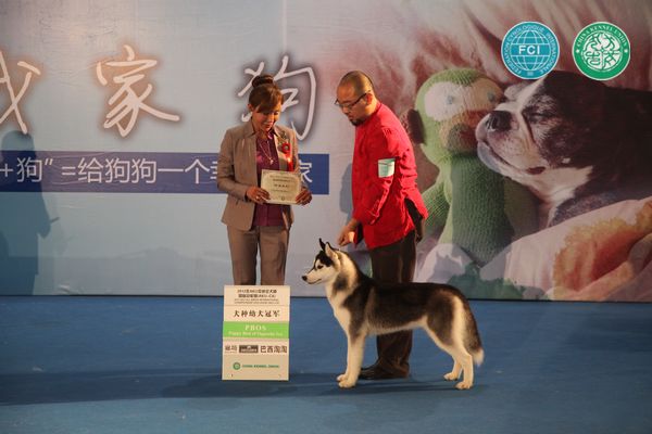 图片点击可在新窗口打开查看