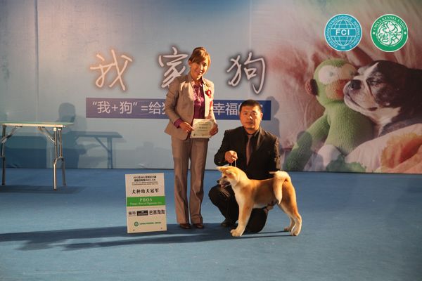 图片点击可在新窗口打开查看