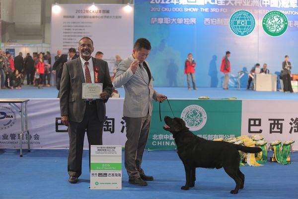 图片点击可在新窗口打开查看