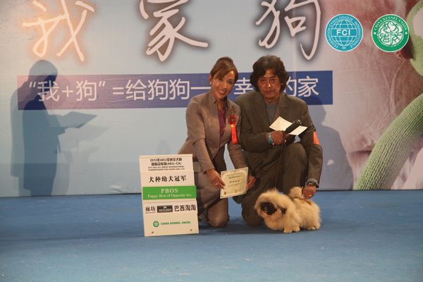 图片点击可在新窗口打开查看