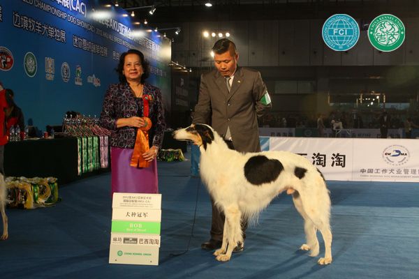 图片点击可在新窗口打开查看