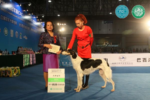 图片点击可在新窗口打开查看