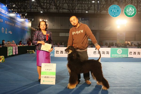 图片点击可在新窗口打开查看