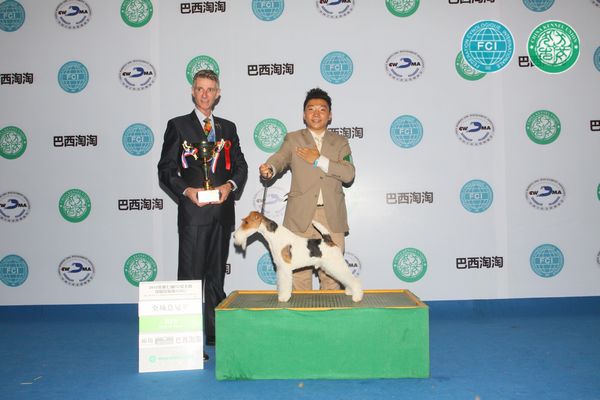 图片点击可在新窗口打开查看