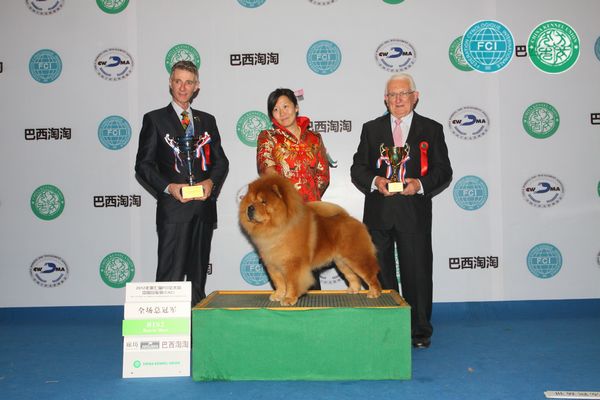 图片点击可在新窗口打开查看