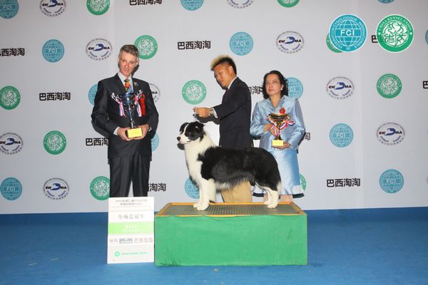 图片点击可在新窗口打开查看