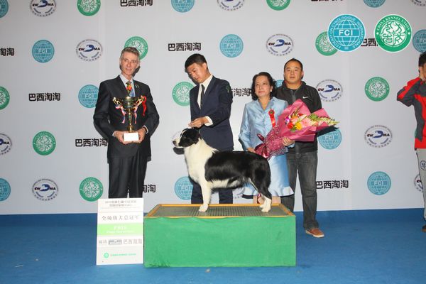 图片点击可在新窗口打开查看