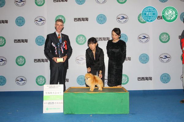 图片点击可在新窗口打开查看