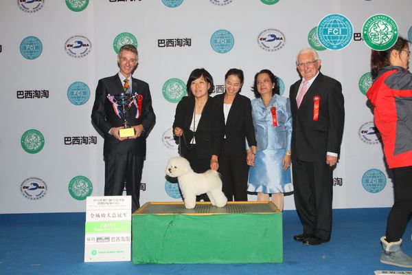 图片点击可在新窗口打开查看