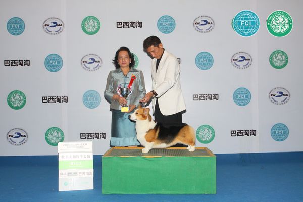 图片点击可在新窗口打开查看