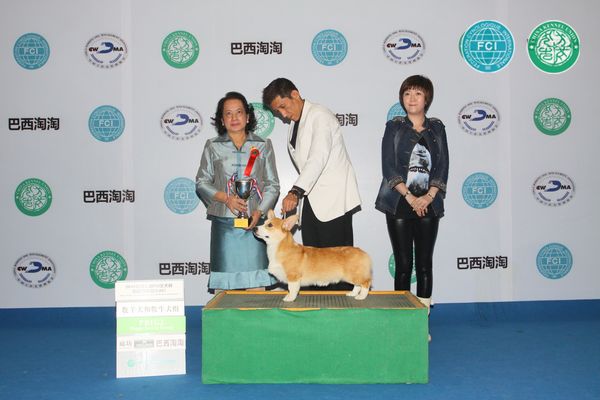 图片点击可在新窗口打开查看