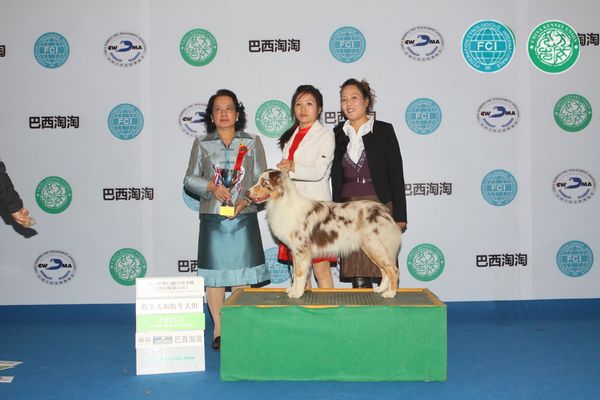 图片点击可在新窗口打开查看