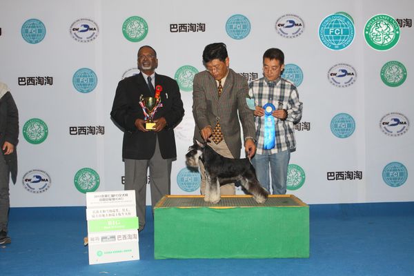 图片点击可在新窗口打开查看