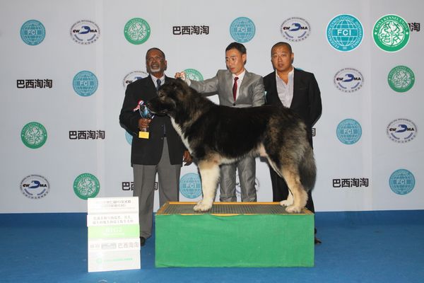 图片点击可在新窗口打开查看