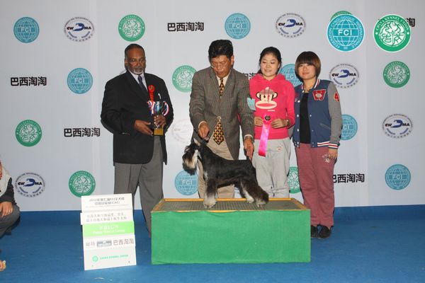 图片点击可在新窗口打开查看