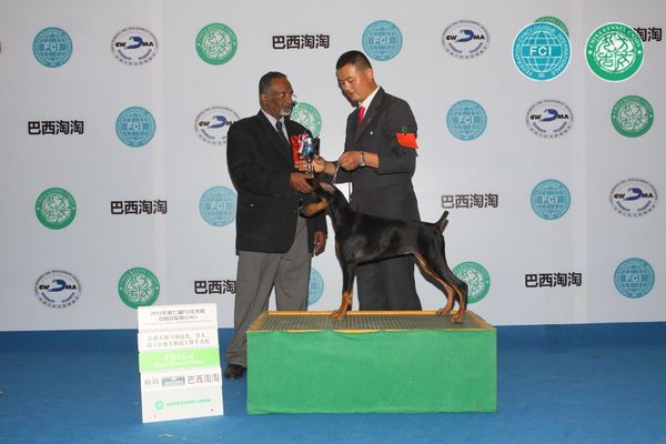 图片点击可在新窗口打开查看