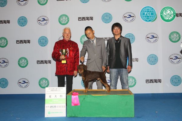 图片点击可在新窗口打开查看