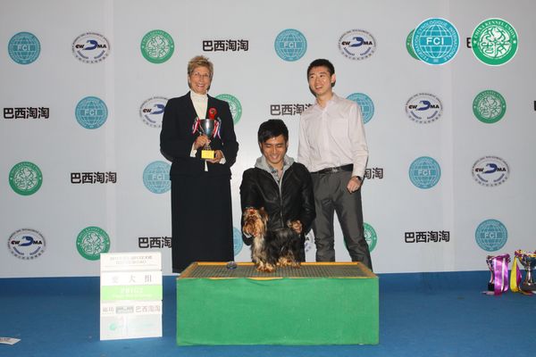 图片点击可在新窗口打开查看