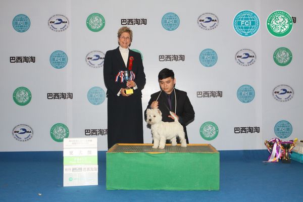 图片点击可在新窗口打开查看