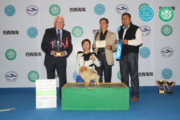 图片点击可在新窗口打开查看