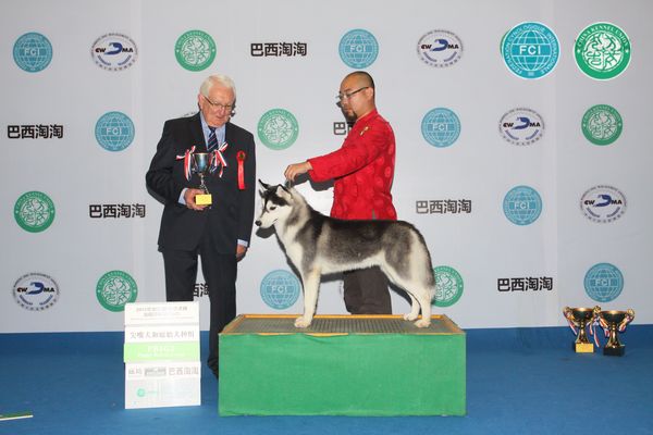 图片点击可在新窗口打开查看