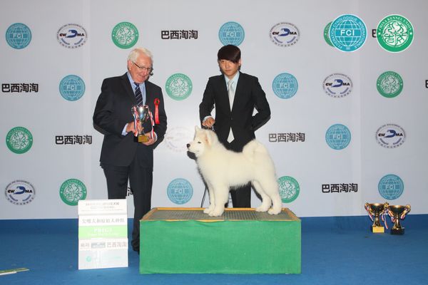 图片点击可在新窗口打开查看