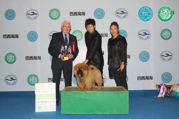 图片点击可在新窗口打开查看