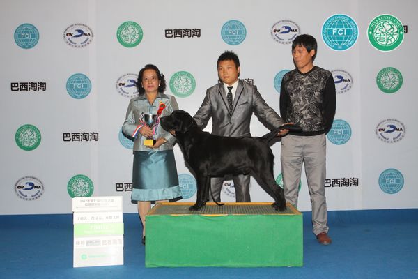 图片点击可在新窗口打开查看