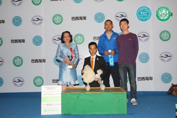 图片点击可在新窗口打开查看