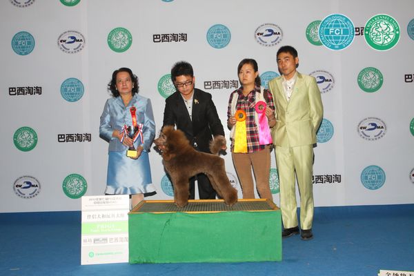 图片点击可在新窗口打开查看